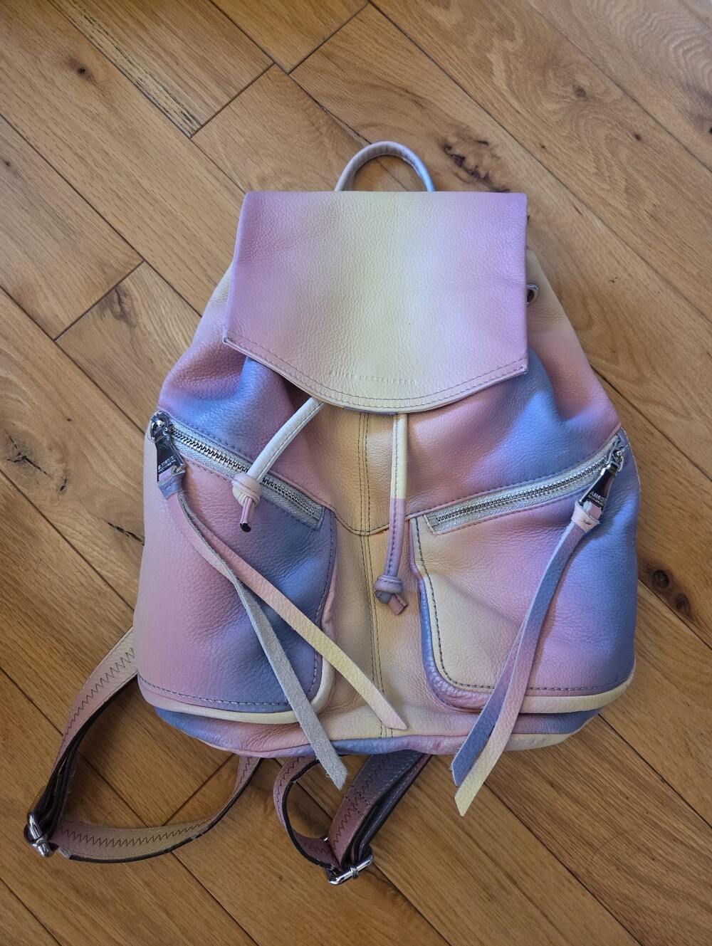 Aimee Kestenberg Venice Sunset Ombre Leather Backpack